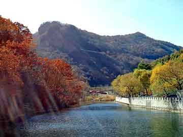 新澳天天开奖资料大全旅游团，菲亚特菲翔销量